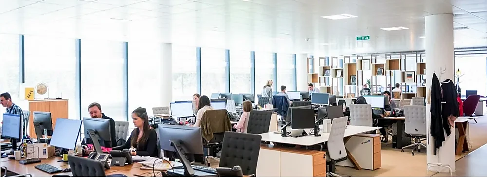 An open plan office of people working at their desks